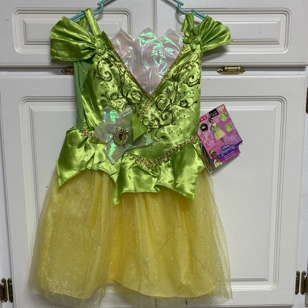 Disney Enchanted Fairy Costume - Green and Yellow